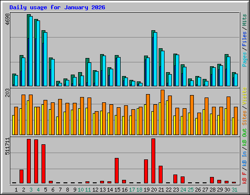 Daily usage for January 2026