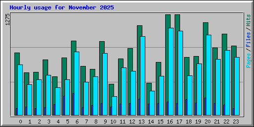 Hourly usage for November 2025