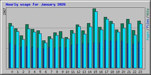 Hourly usage for January 2026